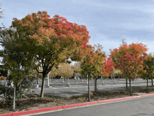 Fall Tree GIF - Fall Tree Testing GIFs