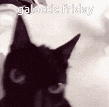 Galactic Friday Galactic Fried Chicken GIF - Galactic Friday Galactic Fried Chicken Gart Gfc GIFs