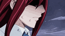 Anime Fairy Tail GIF - Anime Fairy Tail Erza Scarlet GIFs