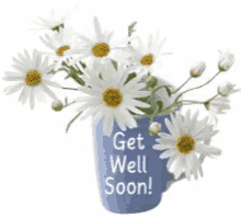 Get Well Soon Daisies GIF - Get Well Soon Daisies Flowers GIFs