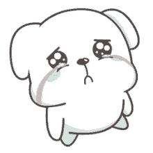 cute dog sad please begging