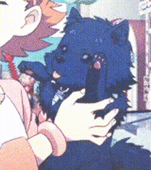 a person is holding a stuffed animal that looks like a wolf .