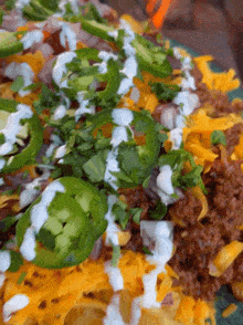 Loaded Chili Cheese Fries Fries GIF - Loaded Chili Cheese Fries Fries Food GIFs