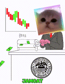 a cartoon of a man with a cat on his head in front of a united states federal reserve system seal