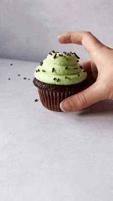 Mint Chocolate Cupcakes Cupcakes GIF - Mint Chocolate Cupcakes Cupcakes Dessert GIFs