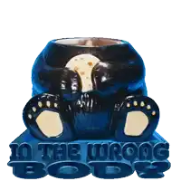 a picture of a bear with the words " in the wrong body " written on it