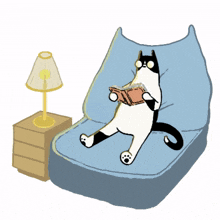 read knowledge novel furniture sofa