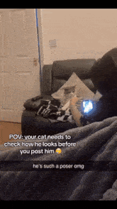 Pov Cat Poser GIF - Pov Cat Poser Cat Pic GIFs