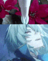 a close up of a flower next to a close up of a person 's face