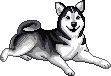 lieve-hond.gif