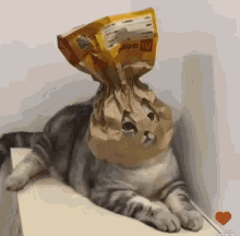 a cat with a bag on its head that says mcdonalds