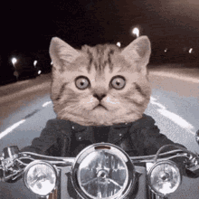 GIF