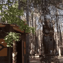 Electric Forest GIF - Electric Forest Mdma GIFs