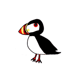 puffin getting