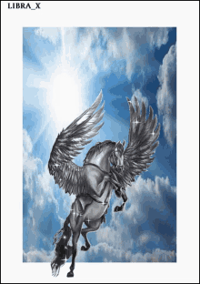 Fantasy Wings GIF - Fantasy Wings Horse GIFs