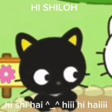Shiloh Hi Shiloh GIF - Shiloh Hi Shiloh Hai Shiloh GIFs