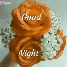 Goodnight Wishes GIF - Goodnight Wishes Roses GIFs