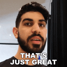 That'S Just Great Bilal Rehman GIF - That'S Just Great Bilal Rehman That'S Wonderful GIFs