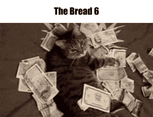The Bread The Bread6 GIF