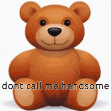 Dont Call Me Handsome Baer GIF - Dont Call Me Handsome Baer Bear GIFs