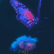 Butterfly Krewella GIF