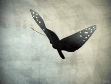Stay Free Fly Free And Die Free GIF