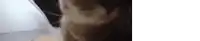 a close up of a person 's face with a white background and a blurred background .
