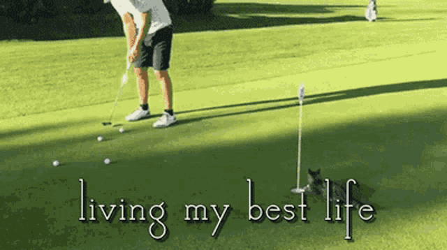 Living My Best Life Funny Animals GIF - Living My Best Life Funny Animals Golding - Discover & Share GIFs Living My Best Life Funny Animals GIF - Living My Best Life Funny Animals Golding - Discover & Share GIFs