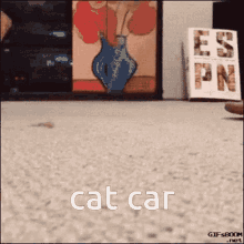Cat Car GIF