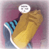 a person with a speech bubble that says " belphie de mali "