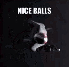 Niceballs GIF - Niceballs GIFs