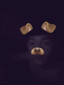 a person with a dog mask on their face in the dark