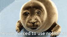 He Was Forced To He Was Forced Use Notion GIF
