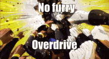 No Furry Overdrive GIF