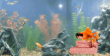Clonekorp Clone Fish GIF - Clonekorp Clone Fish Twitch GIFs
