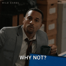 Why Not Detective Simmons GIF - Why Not Detective Simmons Wild Cards GIFs