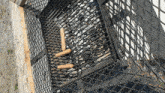 two hot dogs are sitting on a grill with a fence behind them