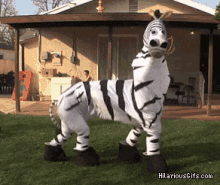 Zebra Dancing GIF - Zebra Dancing Win GIFs