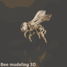 Bee Model GIF - Bee Model GIFs