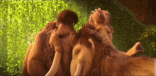 Manny Ellie And Peaches Ice Age GIF - Manny Ellie And Peaches Ice Age GIFs
