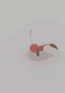 Red Pikmin GIF - Red Pikmin GIFs