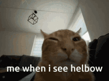 Helbow GIF - Helbow GIFs