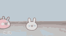 Artc Bunny GIF - Artc Bunny Rabbit GIFs