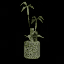 Shen Plant Get Real GIF - Shen Plant Get Real Spinning Plant GIFs