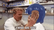Gordon Ramsay What Are You GIF - Gordon Ramsay What Are You GIFs