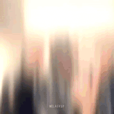 a blurred image of a city skyline with the words nelasvsp on the bottom .