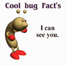 Meme Fact GIF - Meme Fact Bug GIFs