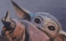a baby yoda is giving the middle finger to the camera .