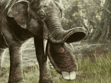 Prehistoric Elephant GIF - Prehistoric Elephant GIFs