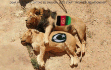 Afghanistan Pakistan GIF - Afghanistan Pakistan Cricket GIFs
